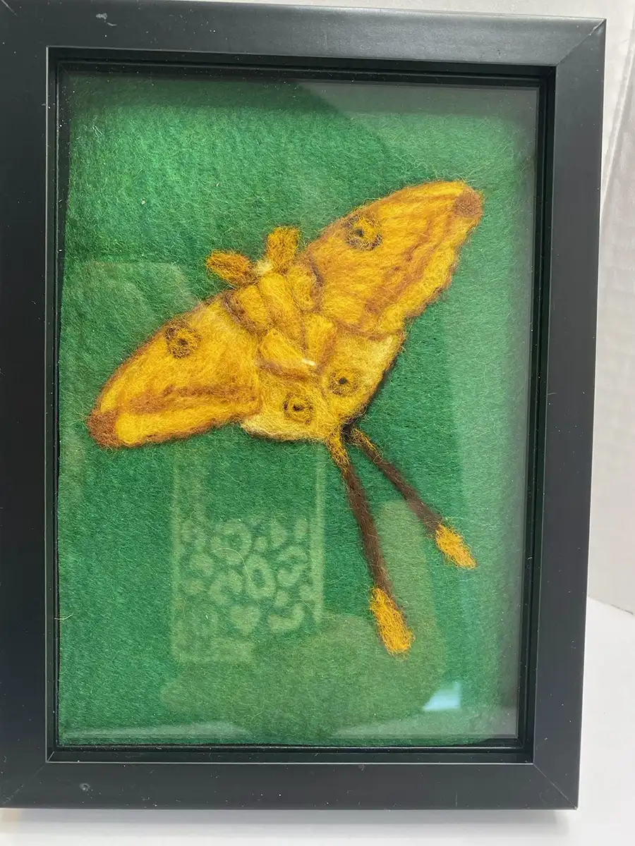 The yellow is a needle felted comet moth on green felt in a 5 1/2x8 shadow box